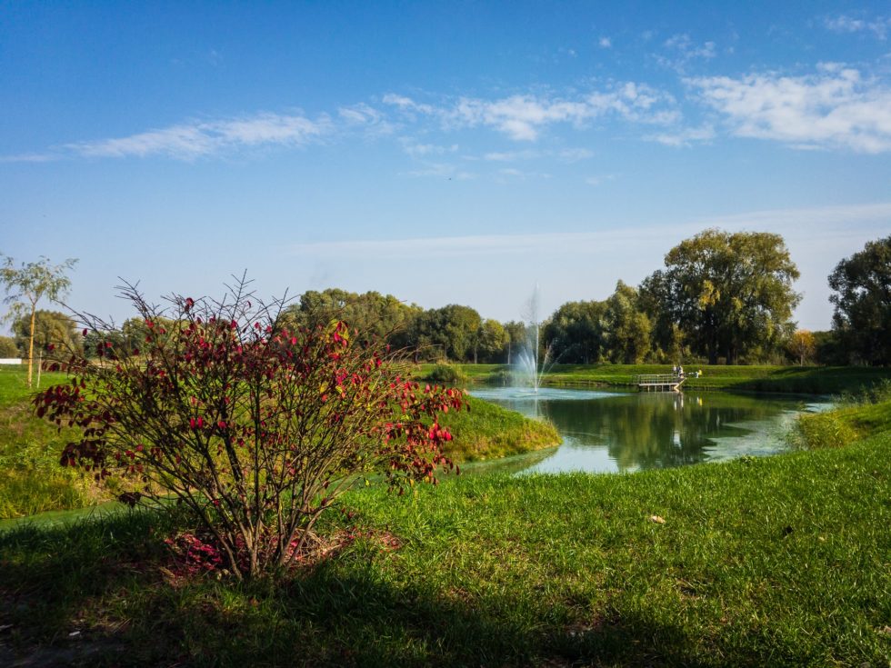 Veterinary Careers in Omro, WI 54963 Omro Animal Hospital