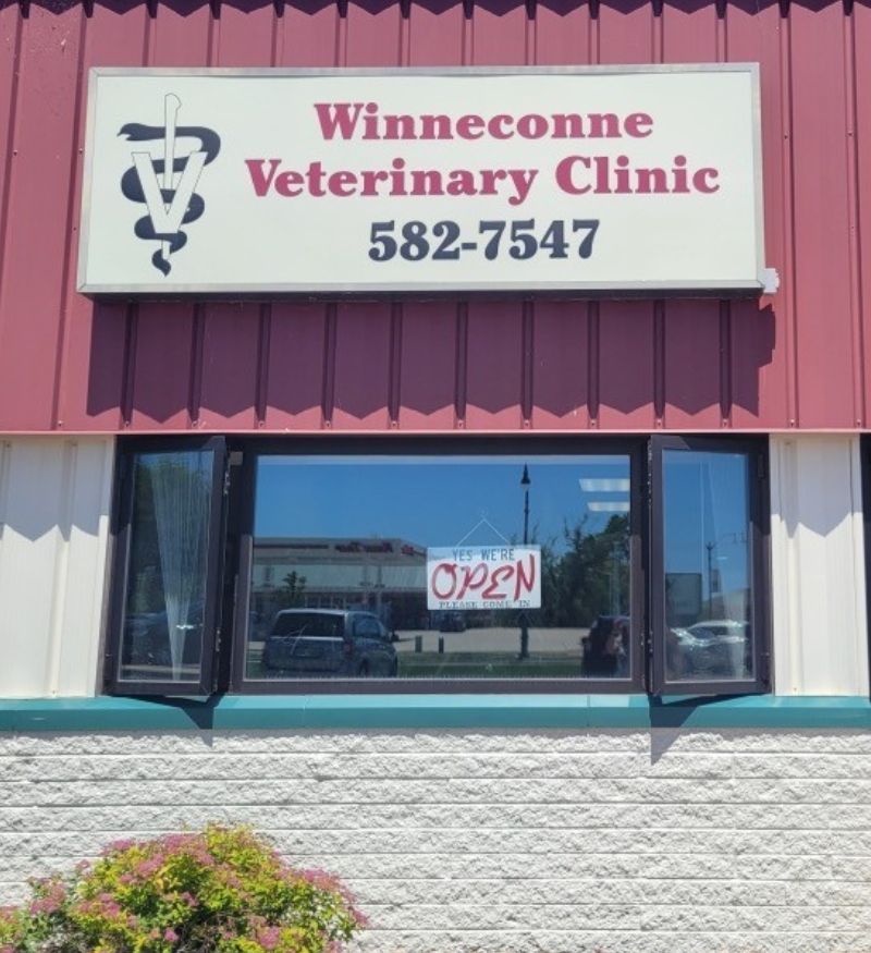 Winneconne Vet Clinic 